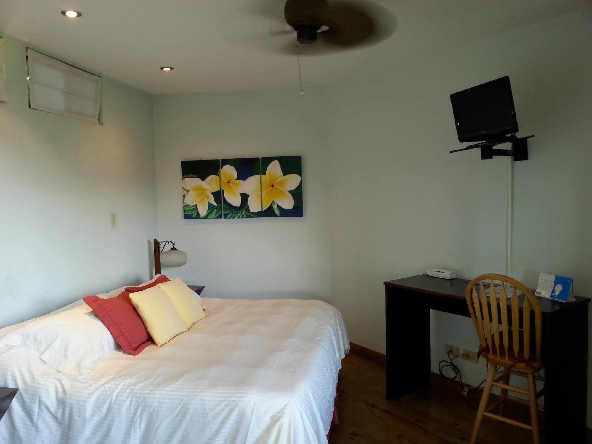 Out Of Bounds Boutique Hotel Сан-Хосе Экстерьер фото